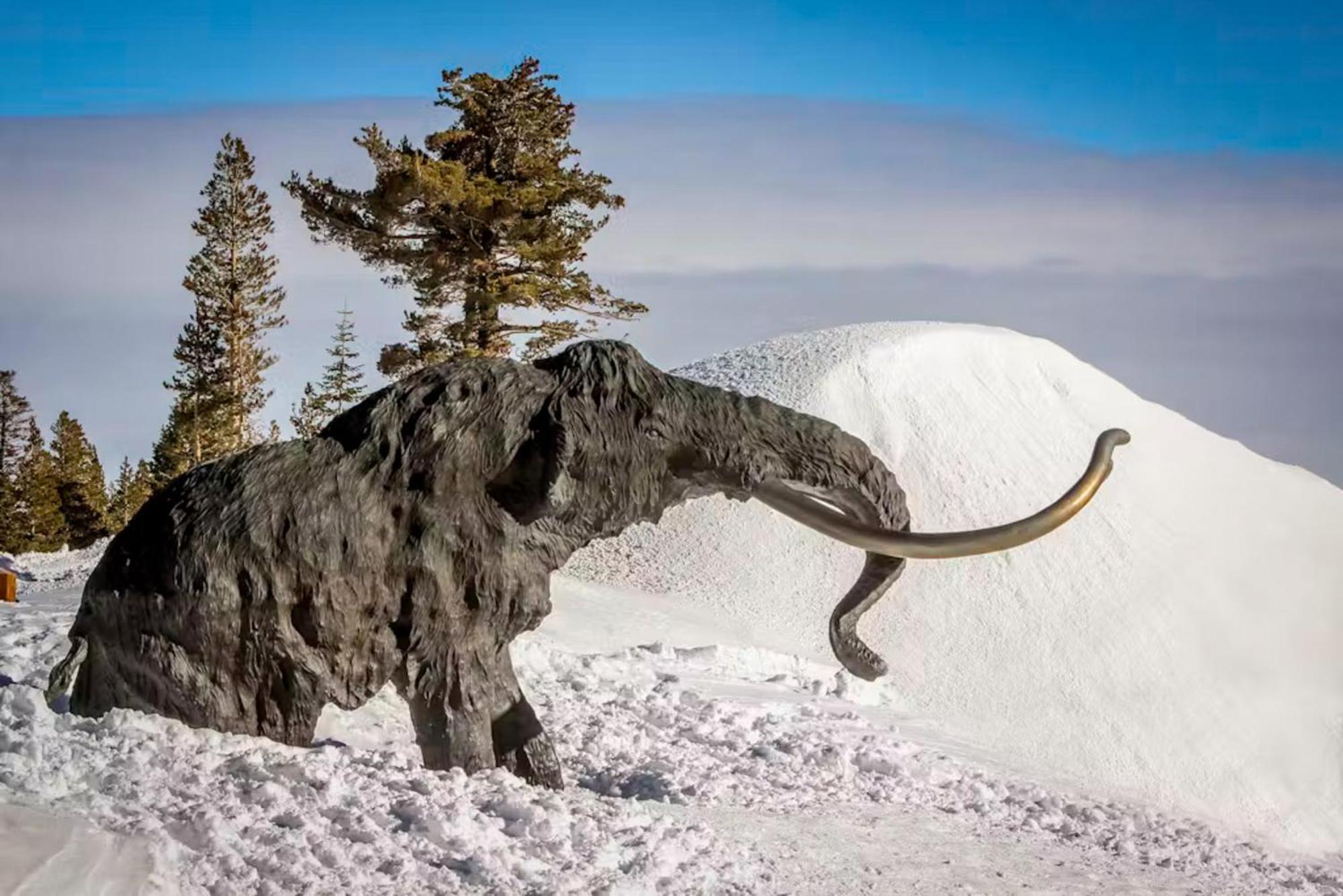 Lodestar Cabins Mammoth Lakes Esterno foto